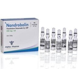 683578a424cc2771524302