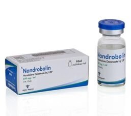 NandroBolin